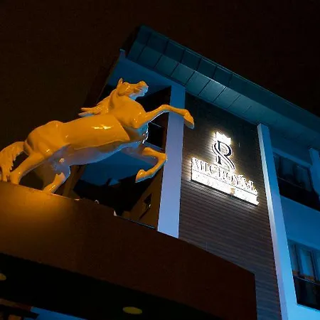 麦克皇家酒店 酒店 2*